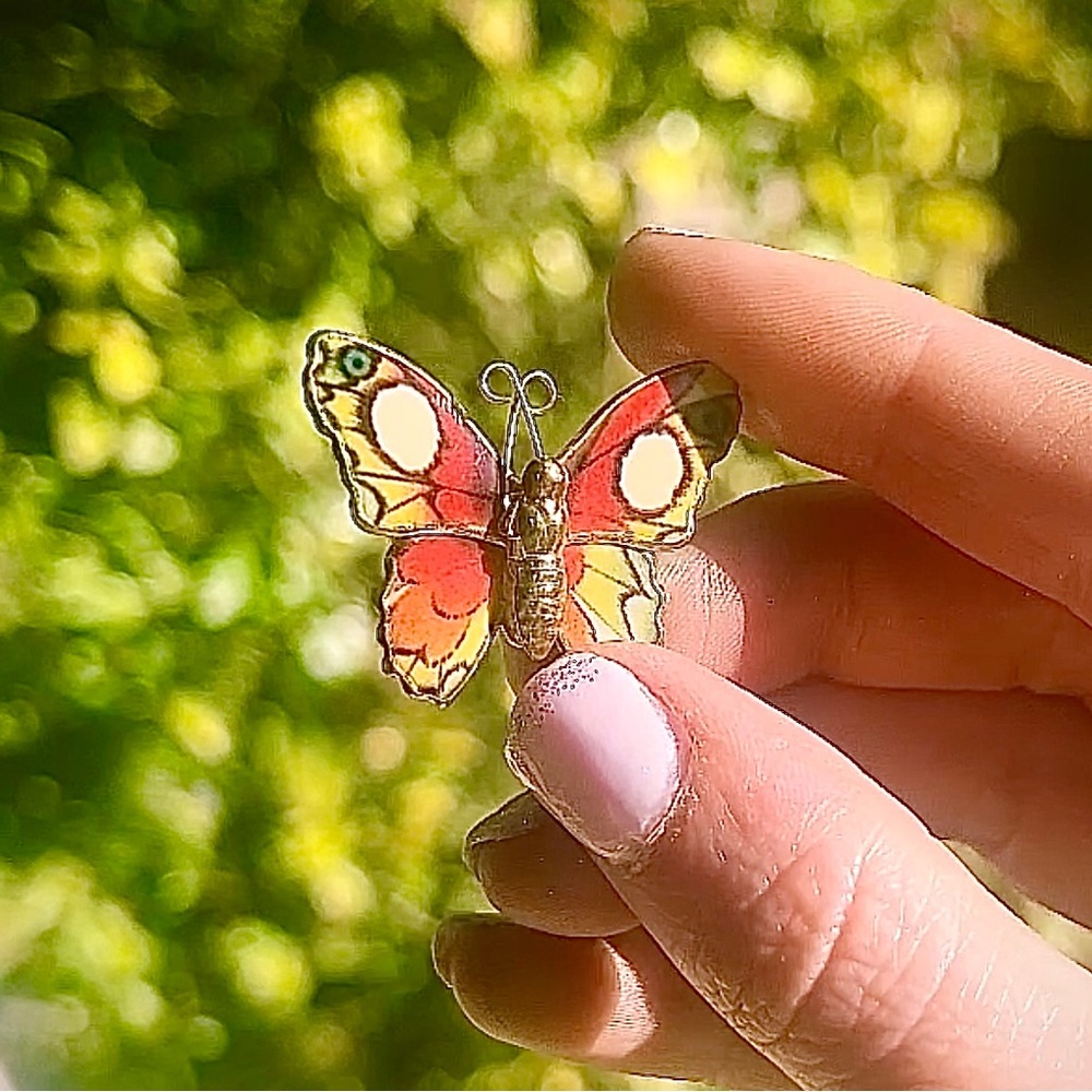 Beautiful SAVE THE BUTTERFLIES brooch 🦋